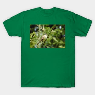 White crowned sparrow, birds, wildlife, nature, gifts T-Shirt